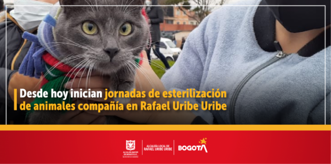 Desde hoy inician jornadas de esterilización de animales compañía en Rafael Uribe Uribe Desde hoy inician jornadas de esterilización de animales compañía en Rafael Uribe Uribe