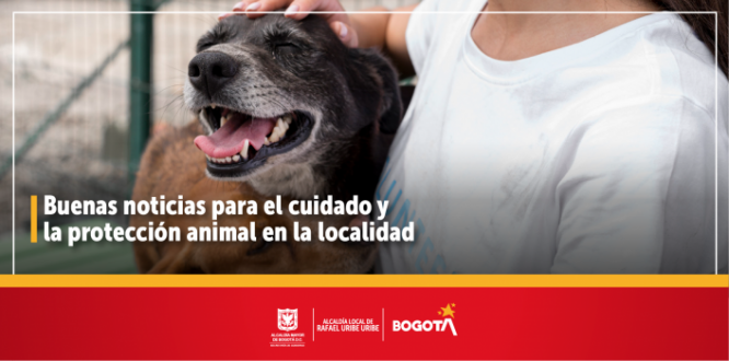 Buenas noticias para el cuidado y la protección animal en la localidad Buenas noticias para el cuidado y la protección animal en la localidad